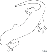 salamandra Disegni Da Colorare Stampabili